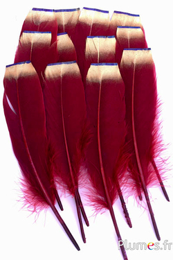 Gans mit goldener geschnittener Spitze - 15–21 cm - bordeaux   Gans mit goldener geschnittener Spitze - 15–21 cm - bordeaux